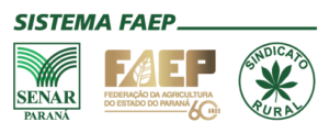 Sistema FAEP