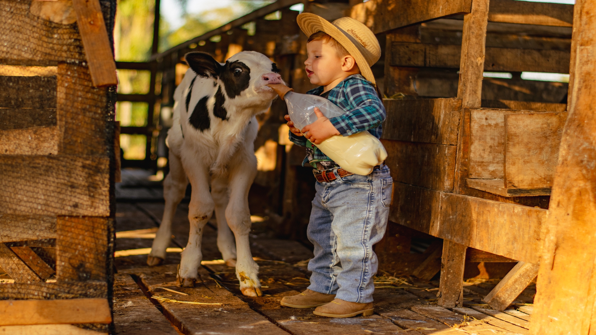 Amor em forma de amamentação 