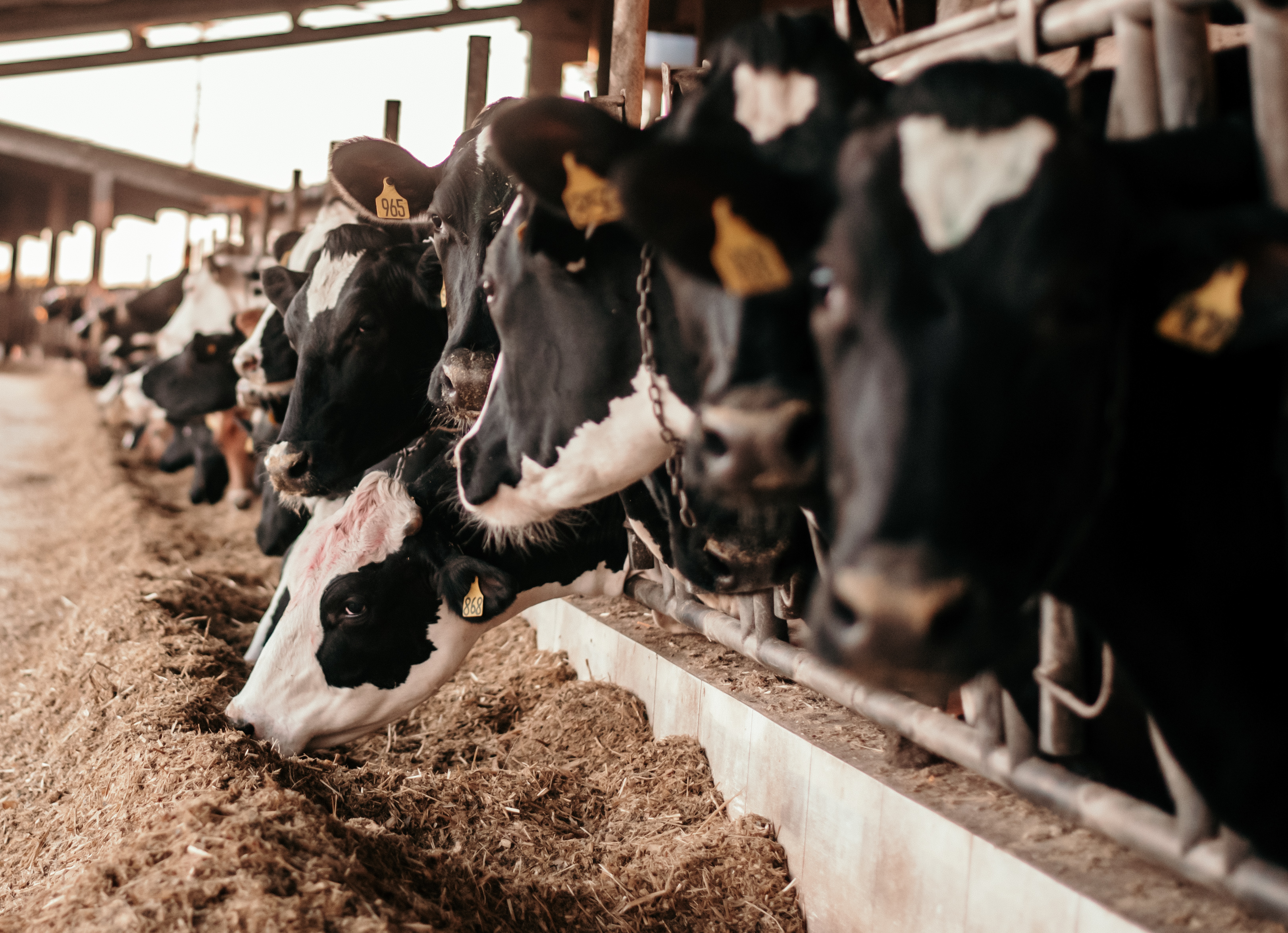 Fim do expediente para elas 