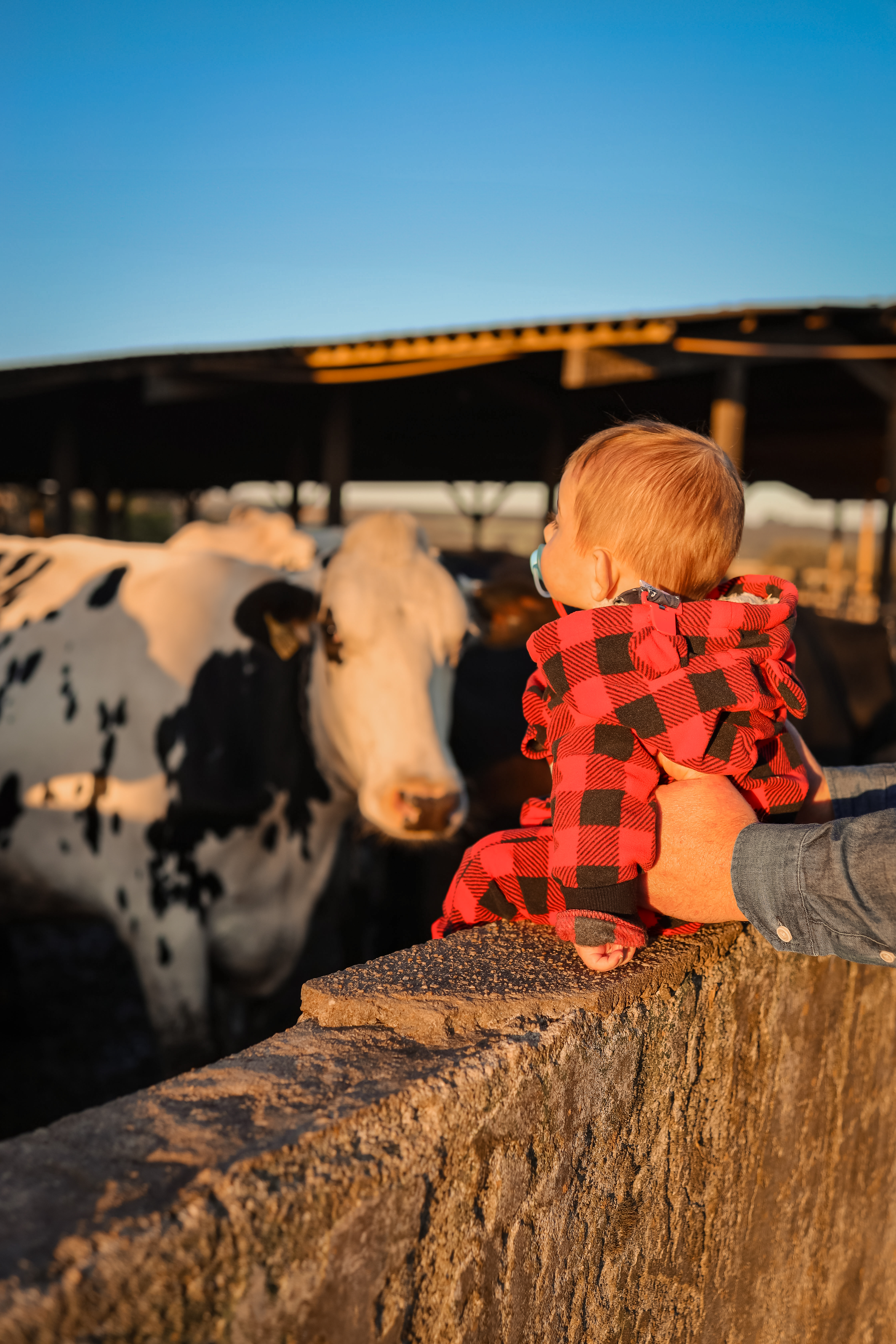 Legado em formação